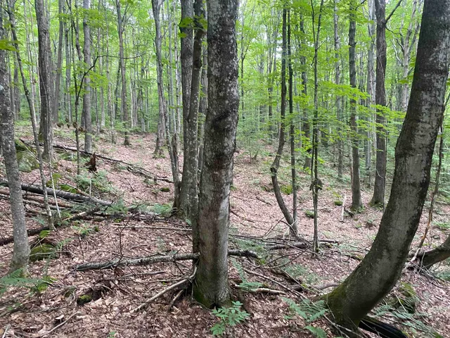 $215,000 | 0 Maple Street, Jay, VT 05859