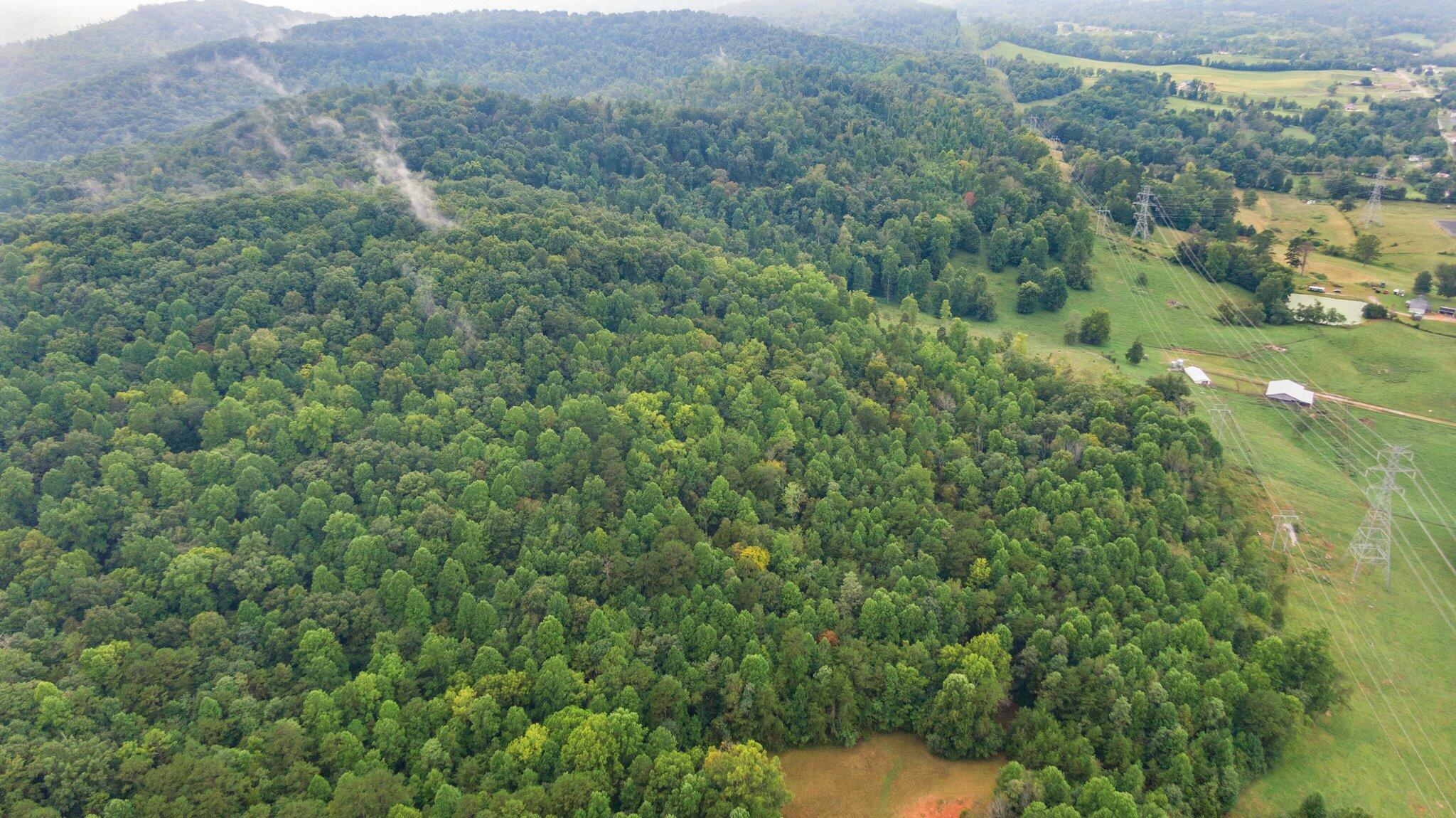 5733 Rush Branch Road Somerset, KY 42501 - Photo 36 of 71 99-web-or-mls-DJI_0857