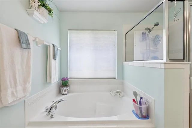 a bathroom with a bathtub and a shower