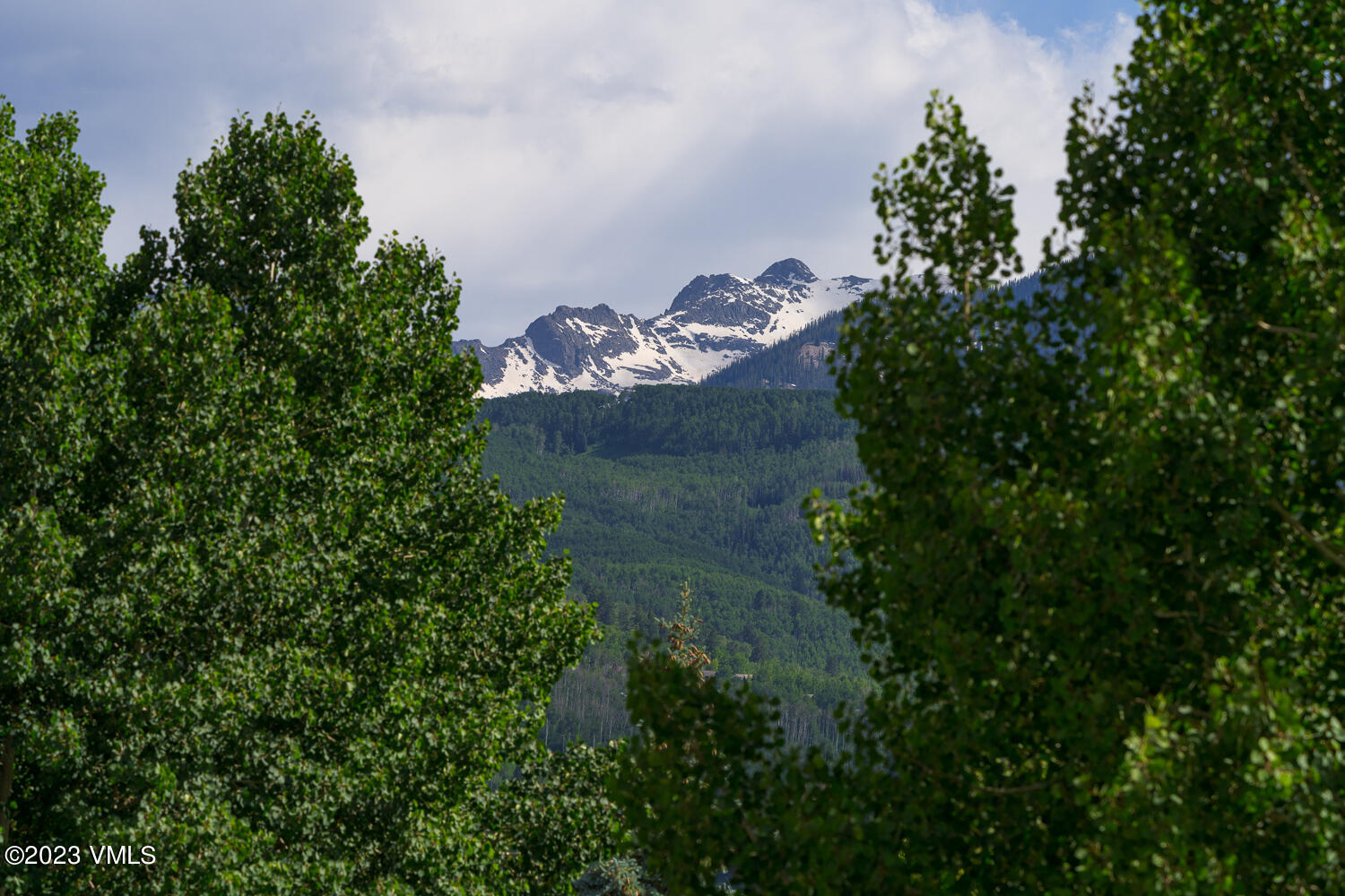 1020 June Creek Road Edwards, CO 81632 - Photo 44 of 45 1020_June_Creek_Road_044