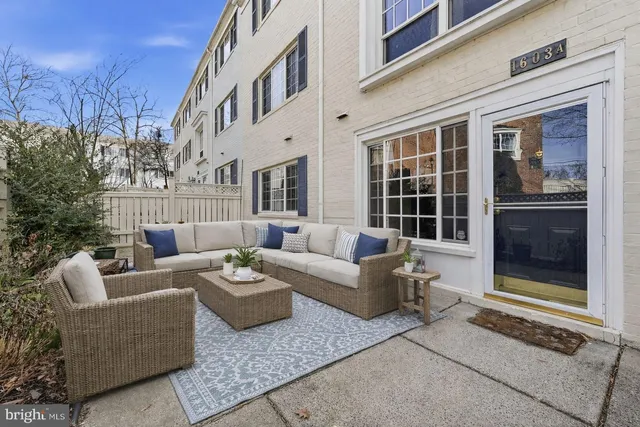 a view of a patio with couches and a potted plant on a table