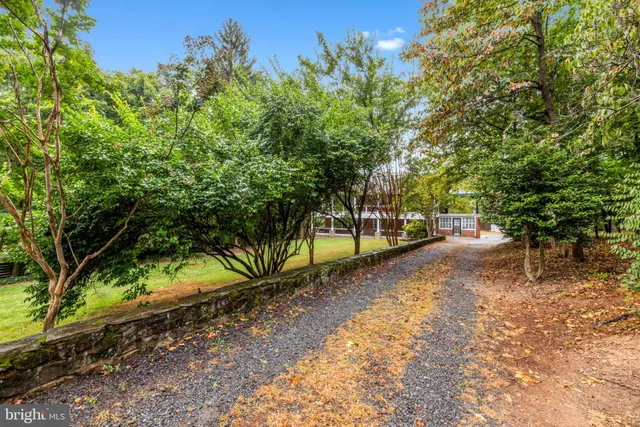 a view of a patio with table and chairs potted plants and large tree