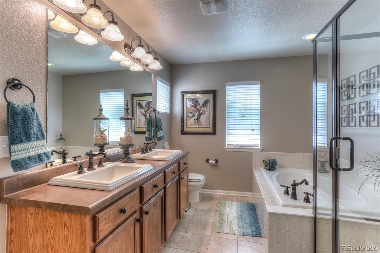 10983 Timber Ridge Lane Highlands Ranch, CO 80130 - Photo 20 of 27 Gallery Image 20