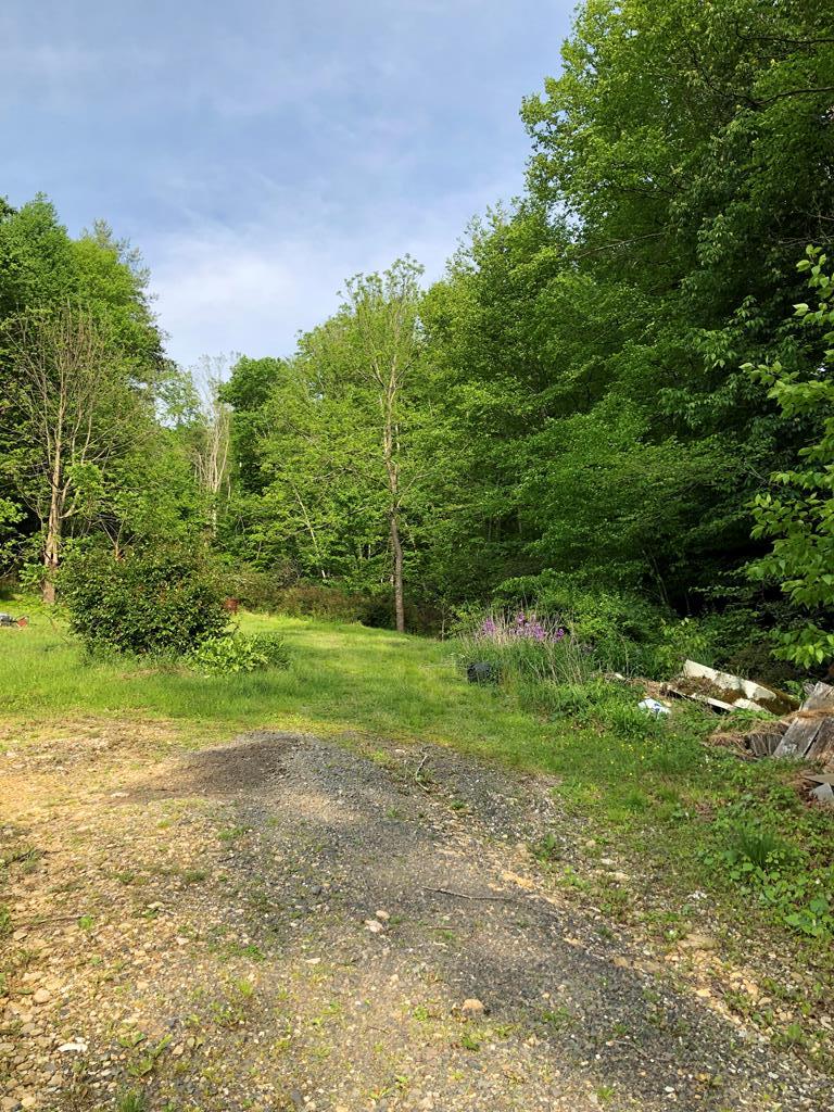 207 Round Knob Road, Unit 1 Austinville, VA 24312 - Photo 7 of 8 Gallery Image 7