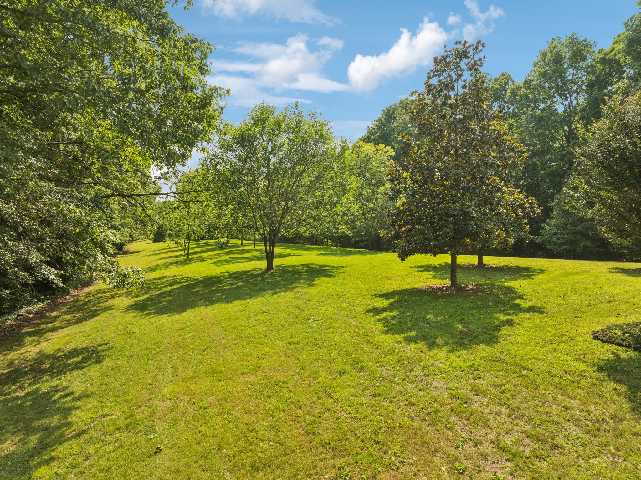 196 Moore Road Westpoint, TN 38486 - Photo 14 of 89 a view of a yard with swimming pool