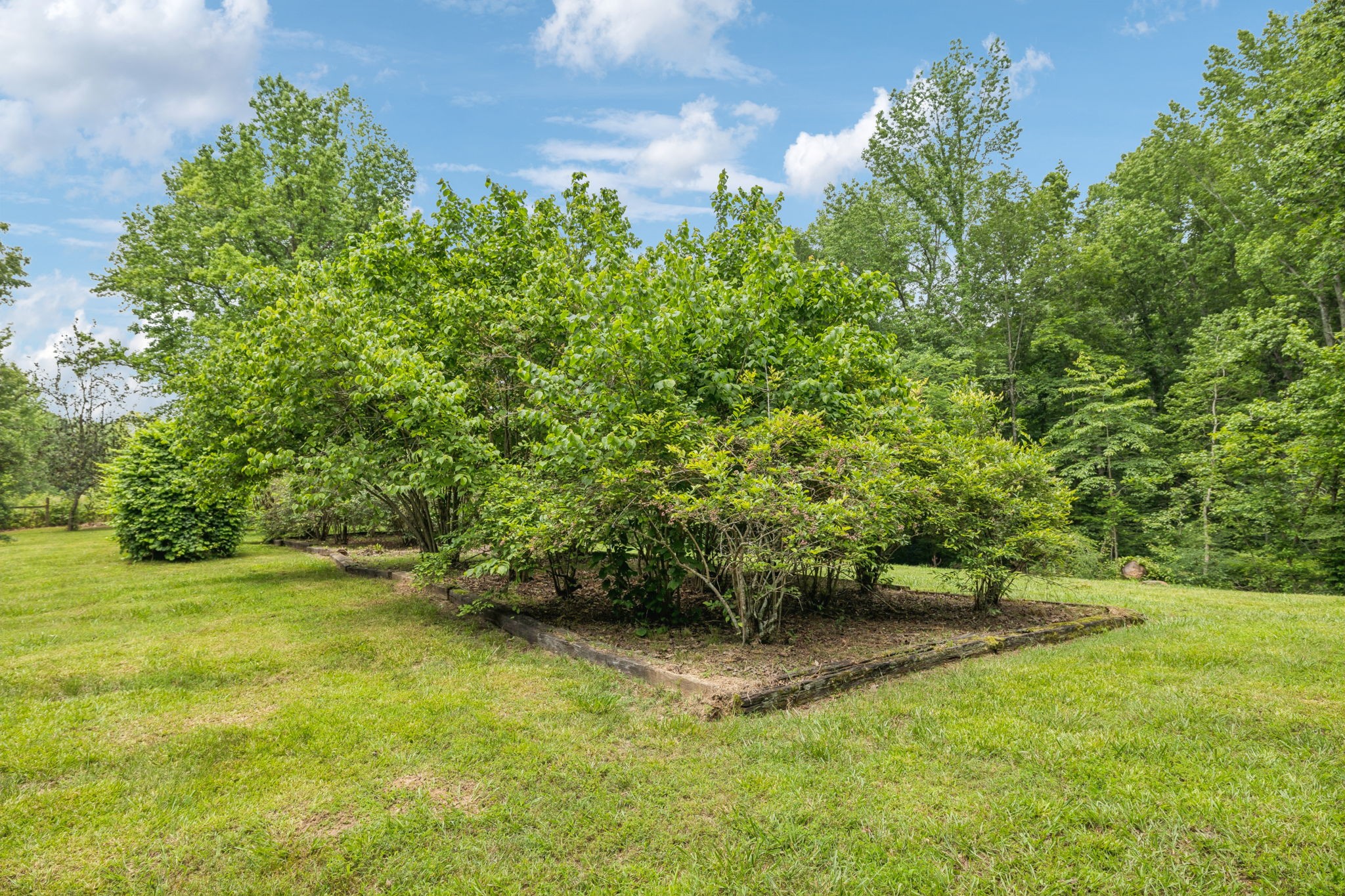 196 Moore Road Westpoint, TN 38486 - Photo 16 of 89 a view of yard with green space