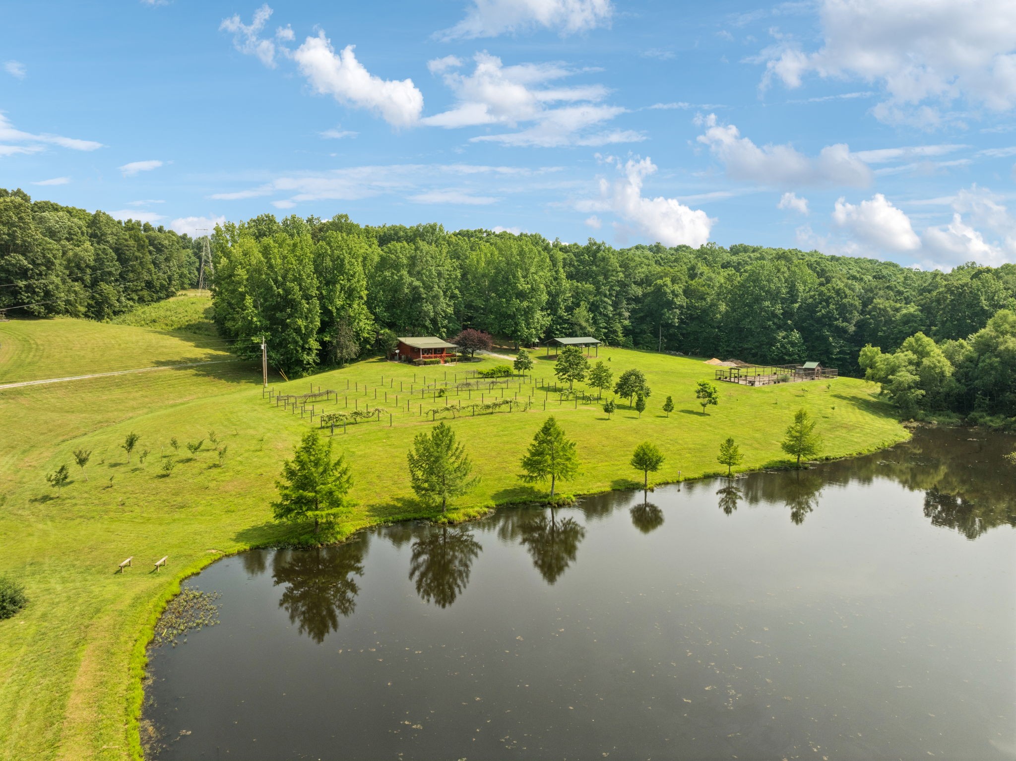 196 Moore Road Westpoint, TN 38486 - Photo 4 of 89