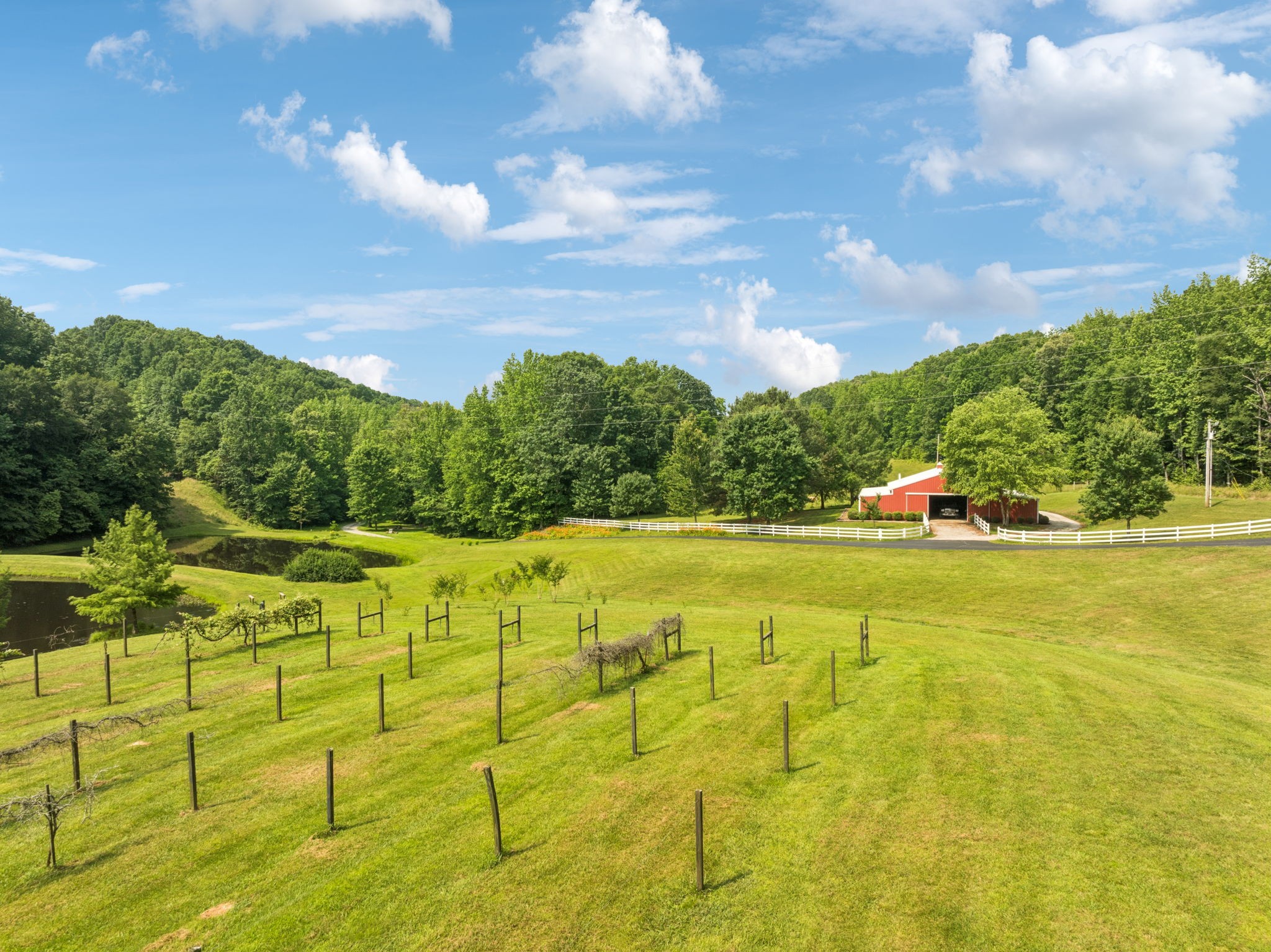 196 Moore Road Westpoint, TN 38486 - Photo 59 of 89