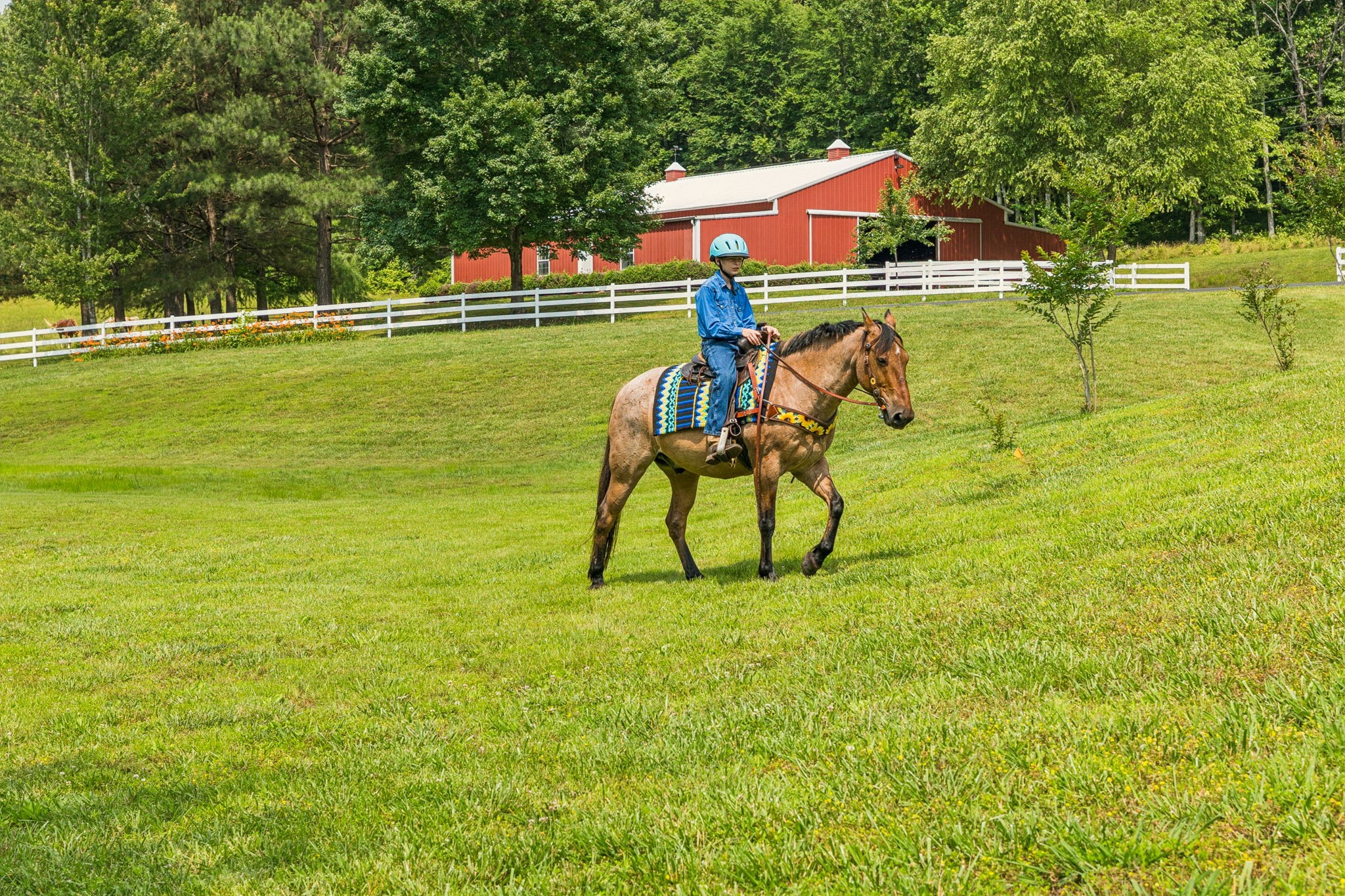196 Moore Road Westpoint, TN 38486 - Photo 64 of 89