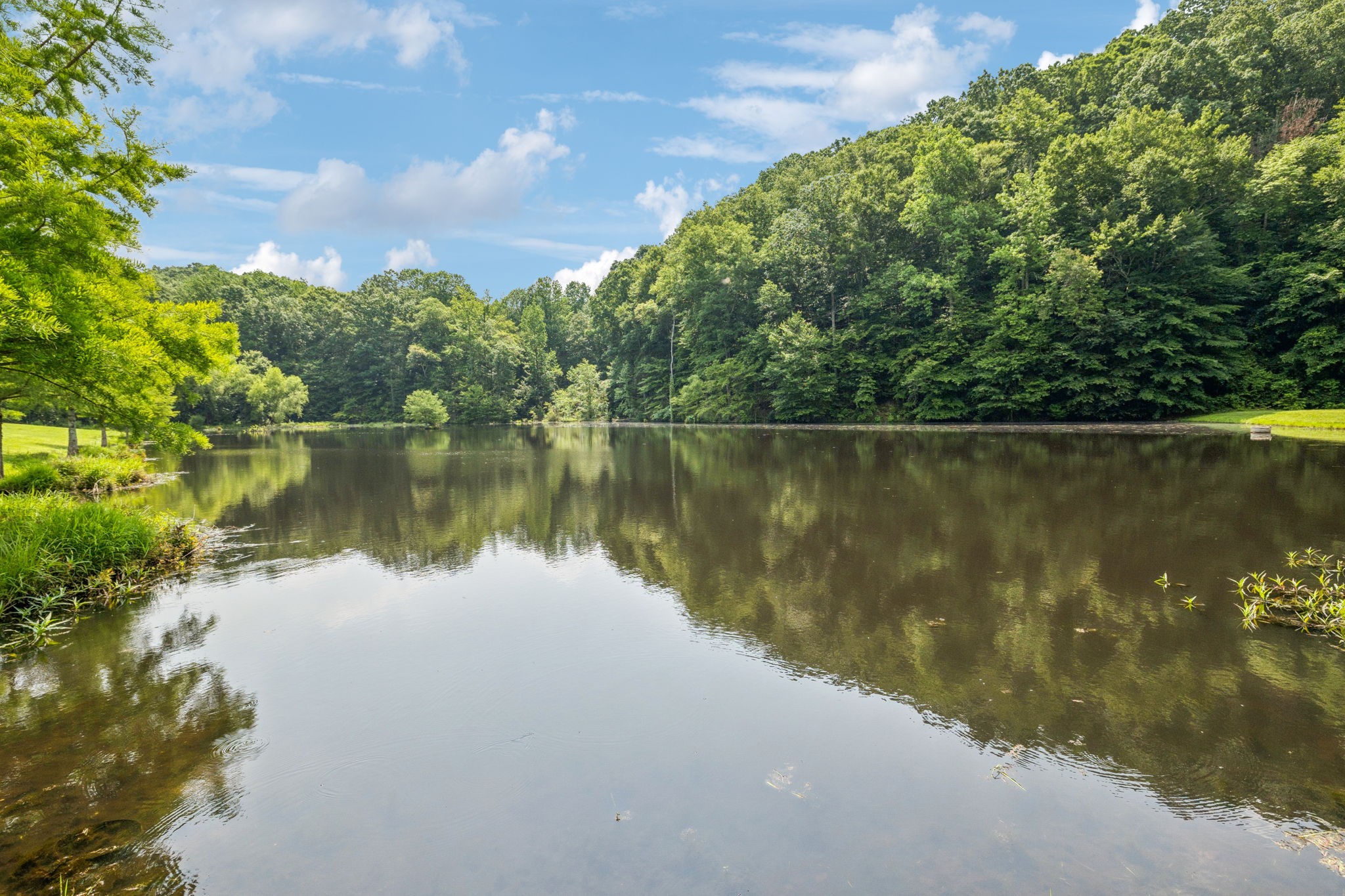 196 Moore Road Westpoint, TN 38486 - Photo 7 of 89