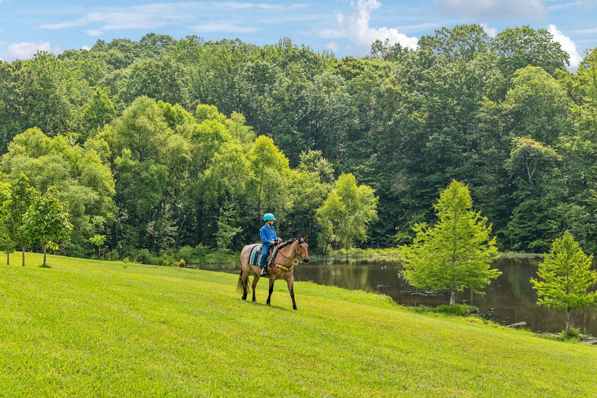 196 Moore Road Westpoint, TN 38486 - Photo 71 of 89 a view of yard with swimming pool and outdoor seating