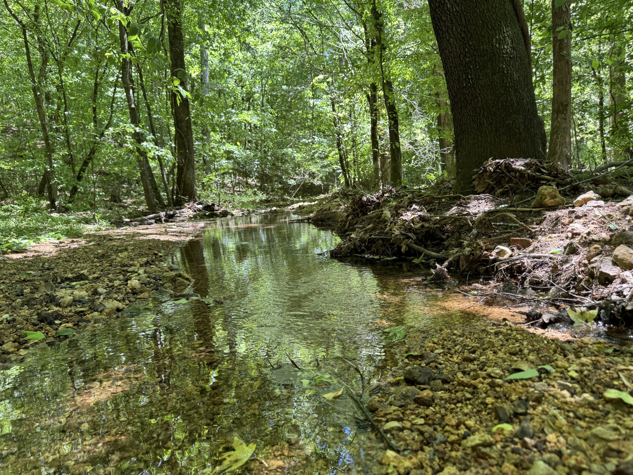 196 Moore Road Westpoint, TN 38486 - Photo 79 of 89