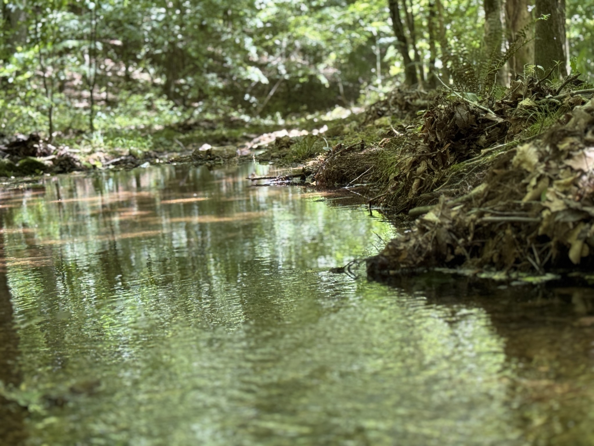 196 Moore Road Westpoint, TN 38486 - Photo 80 of 89