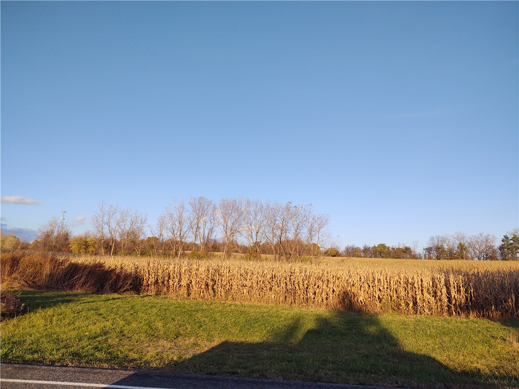 0 Bowerman Road Farmington, NY 14425 - Photo 1 of 1