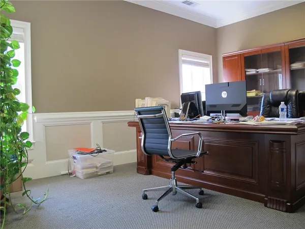 a room with furniture and a potted plant