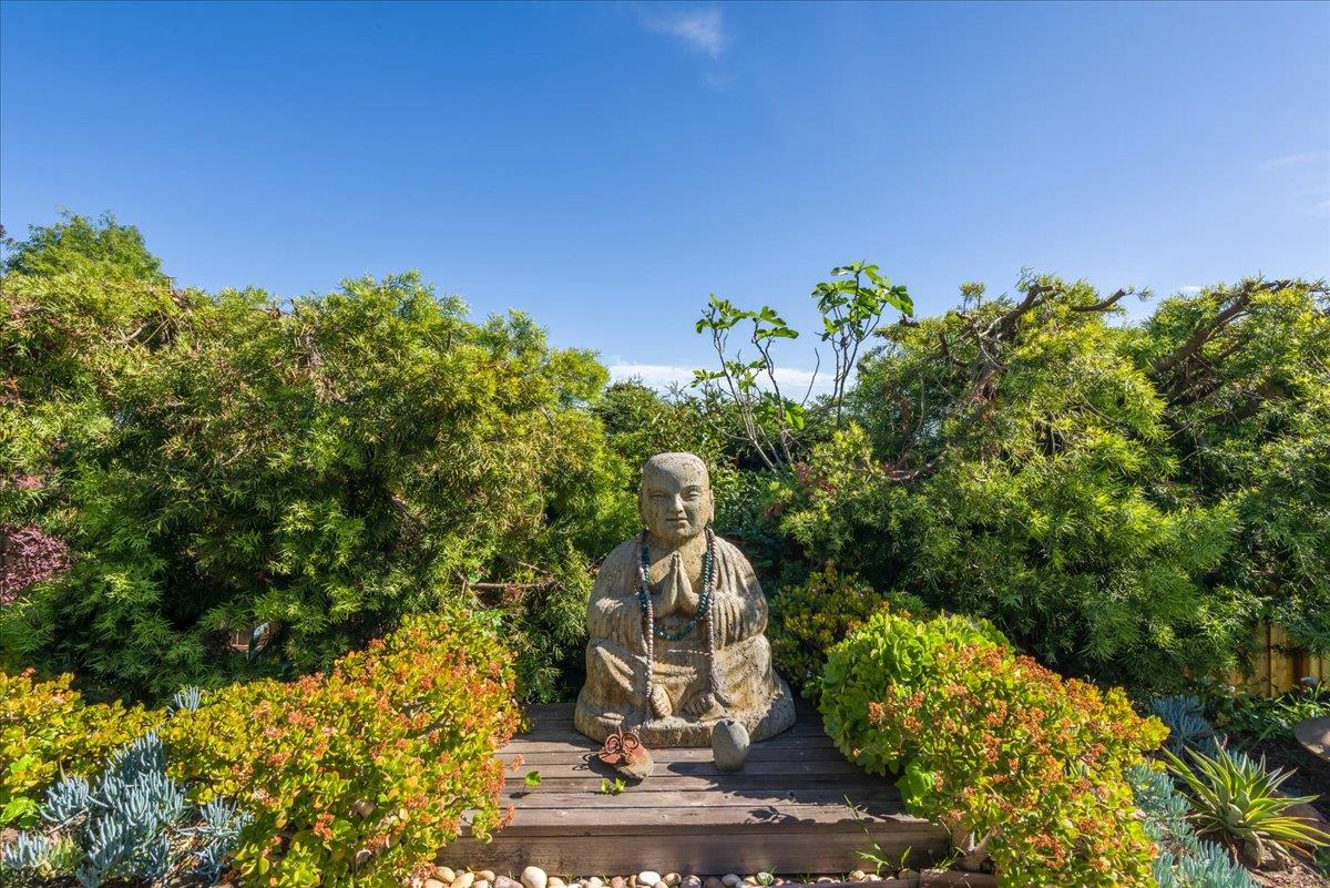 819 Holly Road Belmont, CA 94002 - Photo 48 of 75 a view of a garden with plants and large trees