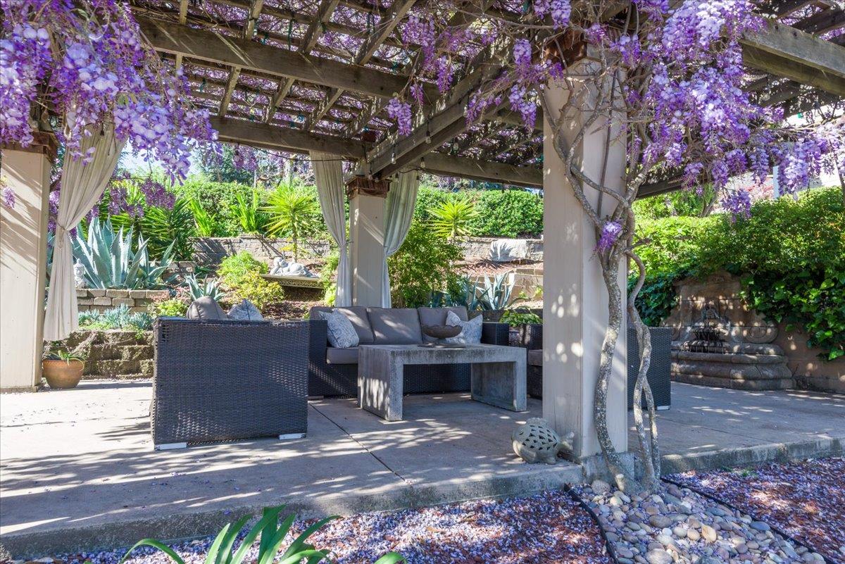 819 Holly Road Belmont, CA 94002 - Photo 52 of 75 a view of patio with a table and chairs and a large tree