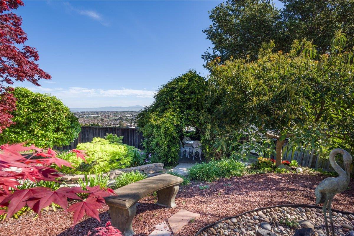 819 Holly Road Belmont, CA 94002 - Photo 55 of 75 a backyard of a house with lots of green space and a fountain