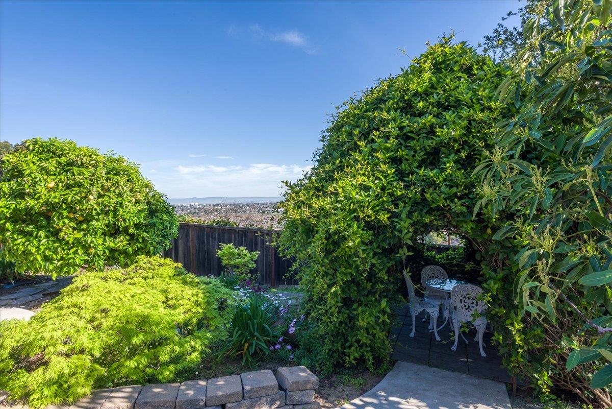 819 Holly Road Belmont, CA 94002 - Photo 56 of 75 a view of a garden