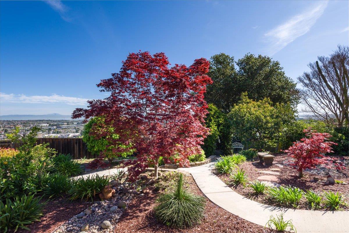 819 Holly Road Belmont, CA 94002 - Photo 58 of 75
