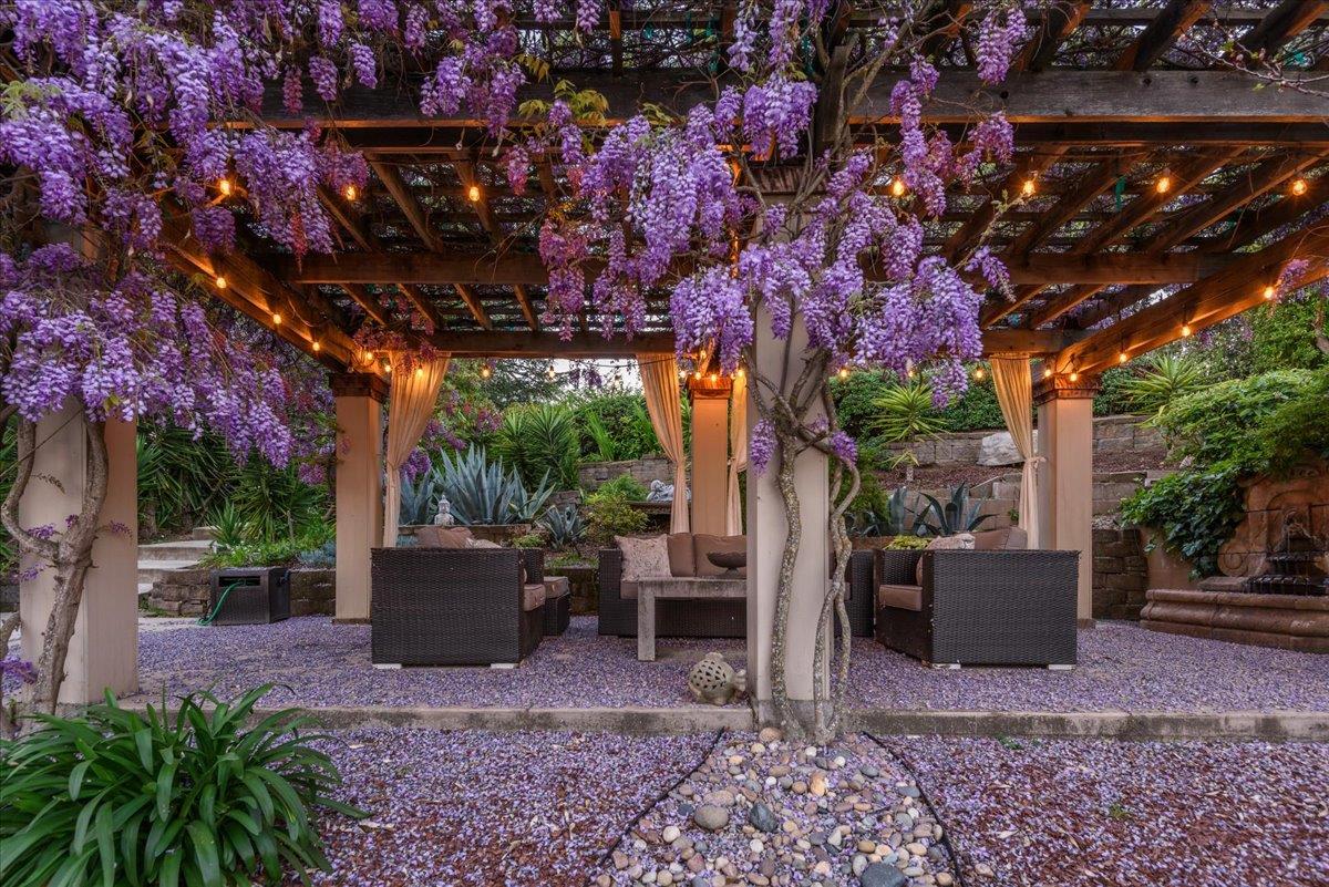 819 Holly Road Belmont, CA 94002 - Photo 71 of 75 a view of a patio with plants and large trees