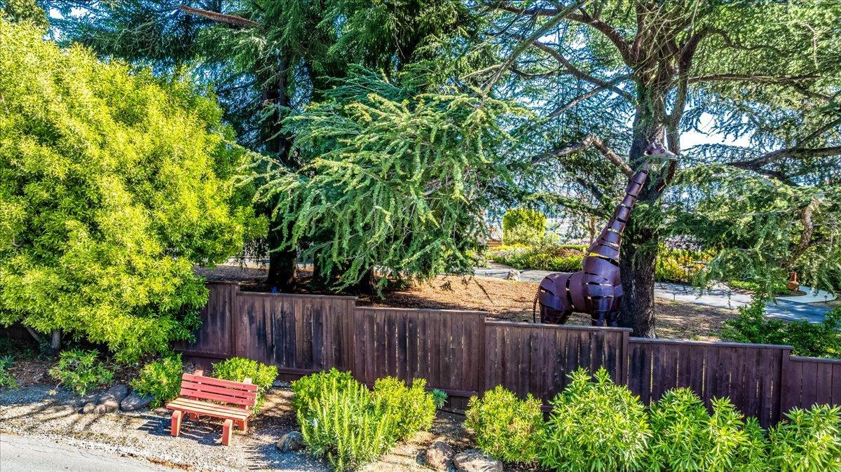 819 Holly Road Belmont, CA 94002 - Photo 74 of 75 a view of a backyard with plants and wooden fence