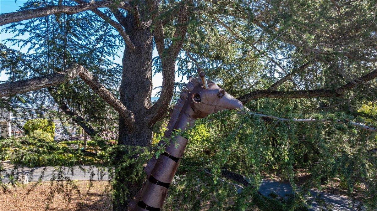819 Holly Road Belmont, CA 94002 - Photo 75 of 75 a view of a large building with a tree