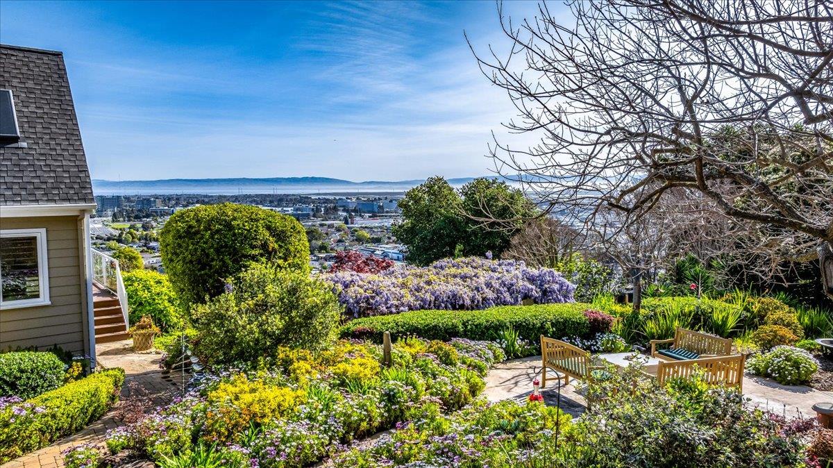 819 Holly Road Belmont, CA 94002 - Photo 9 of 75 a view of a garden with plants and large trees