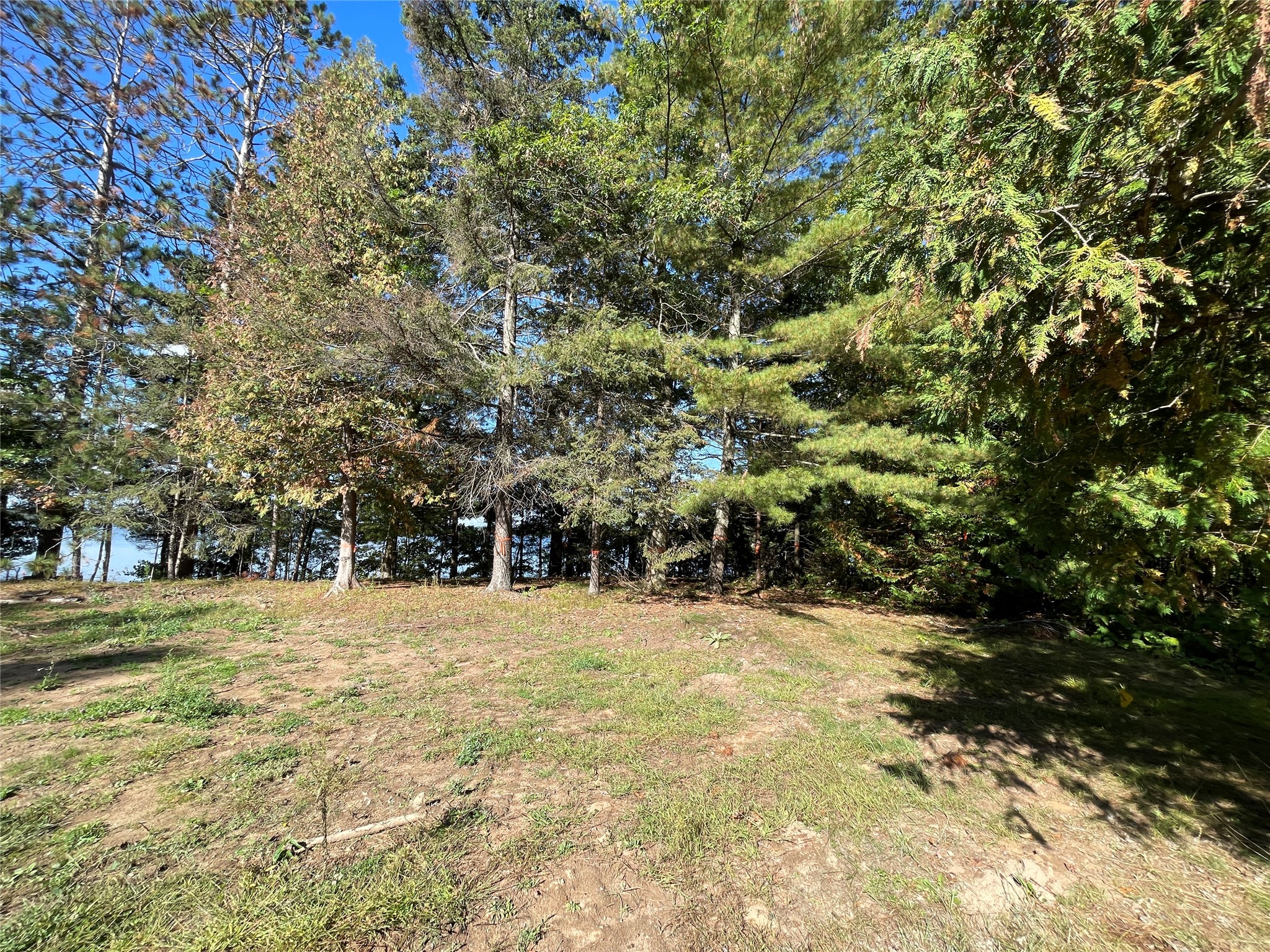 6073 North Elsie Road Stone Lake, WI 54876 - Photo 13 of 42