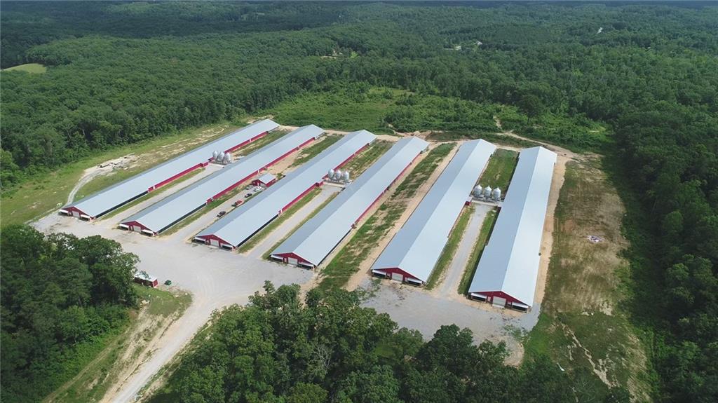 a view of a yard