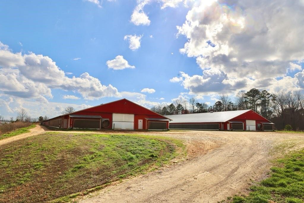 876 Wood Station Road Rock Spring, GA 30739 - Photo 18 of 52