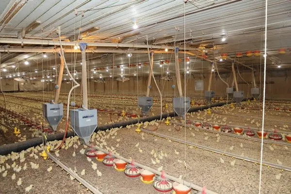 a view of outdoor space and entertaining space