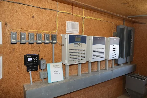 a view of a backyard with wooden fence