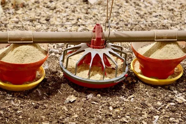 $5,349,000 | 876 Wood Station Road, Rock Spring, GA 30739