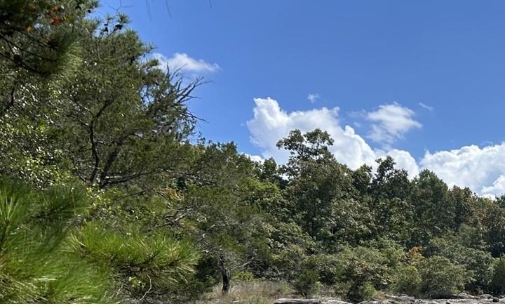 2476 Rockbridge Road Northwest Conyers, GA 30012 - Photo 1 of 3 a view of a lot of trees in a field