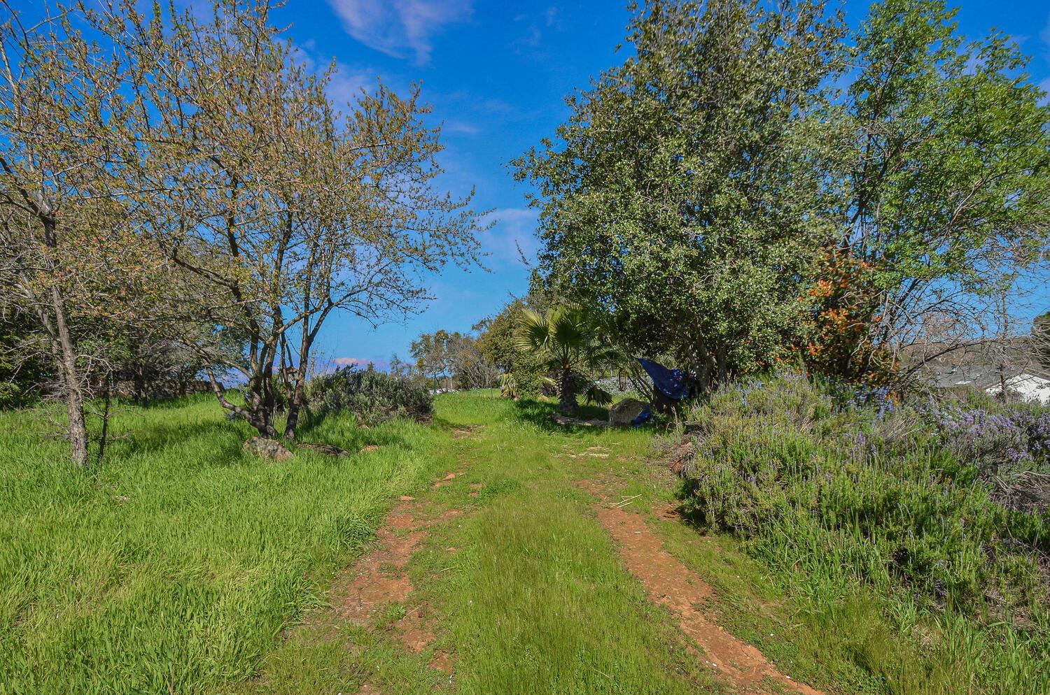 425 Sutter Hill Road Sutter Creek, CA 95685 - Photo 49 of 61