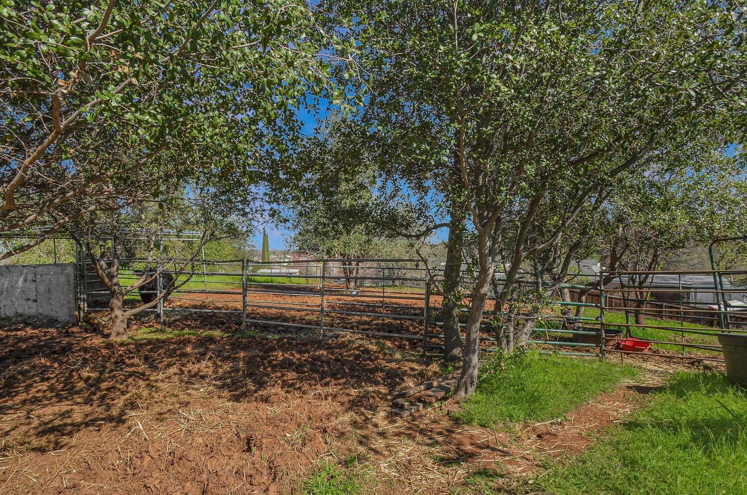 425 Sutter Hill Road Sutter Creek, CA 95685 - Photo 53 of 61