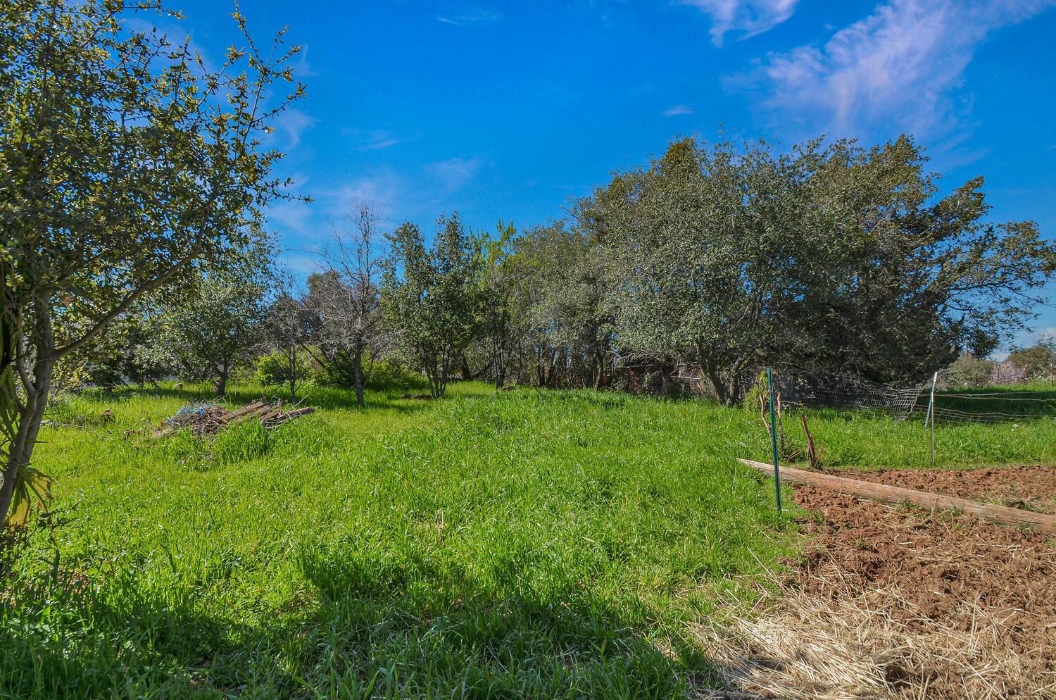 425 Sutter Hill Road Sutter Creek, CA 95685 - Photo 54 of 61