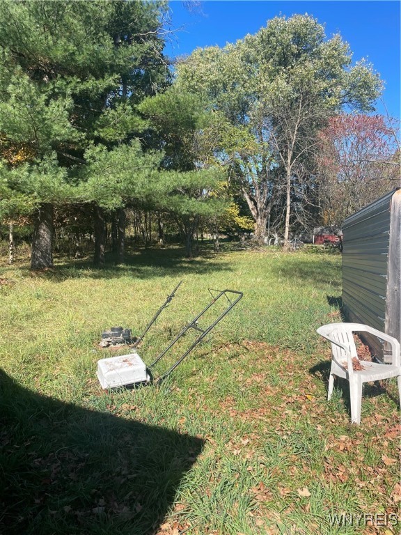 31 Norton Amity, NY 14813 - Photo 14 of 18