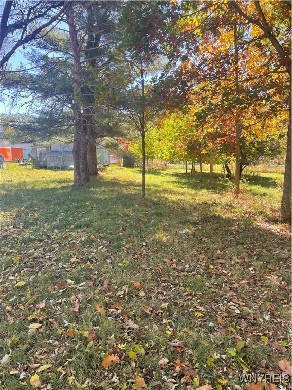 31 Norton Amity, NY 14813 - Photo 15 of 18