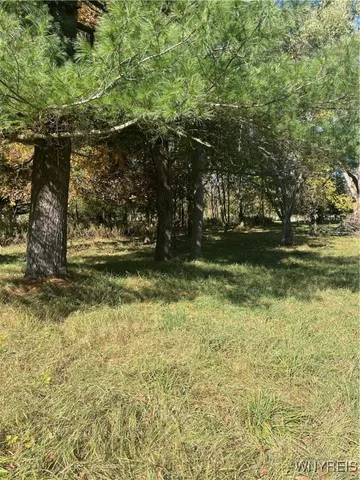 $59,500 | 31 Norton, Amity, NY 14813