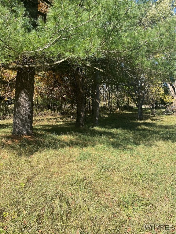 31 Norton Amity, NY 14813 - Photo 16 of 18