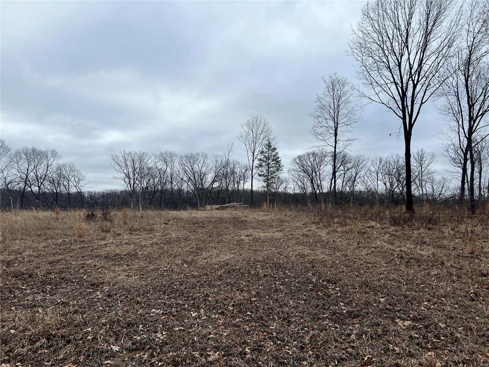 36 County Road 4055 Rhineland, MO 65069 - Photo 1 of 7