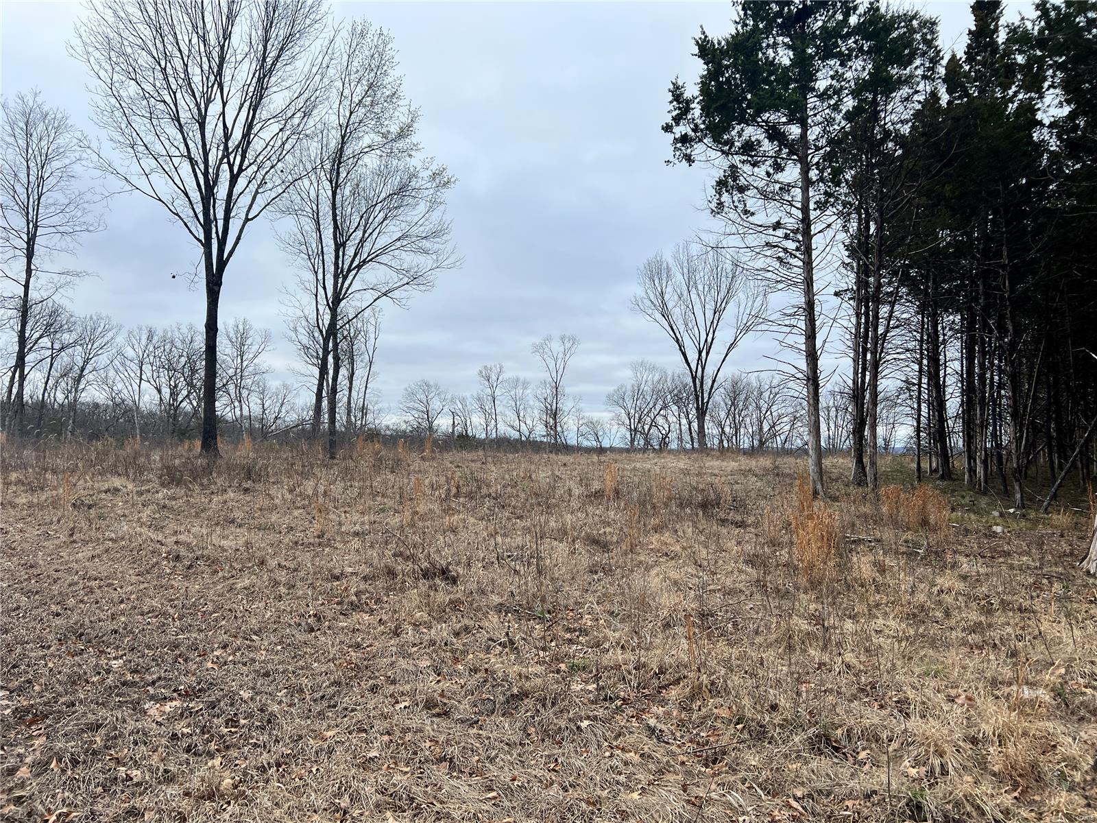 36 County Road 4055 Rhineland, MO 65069 - Photo 2 of 7