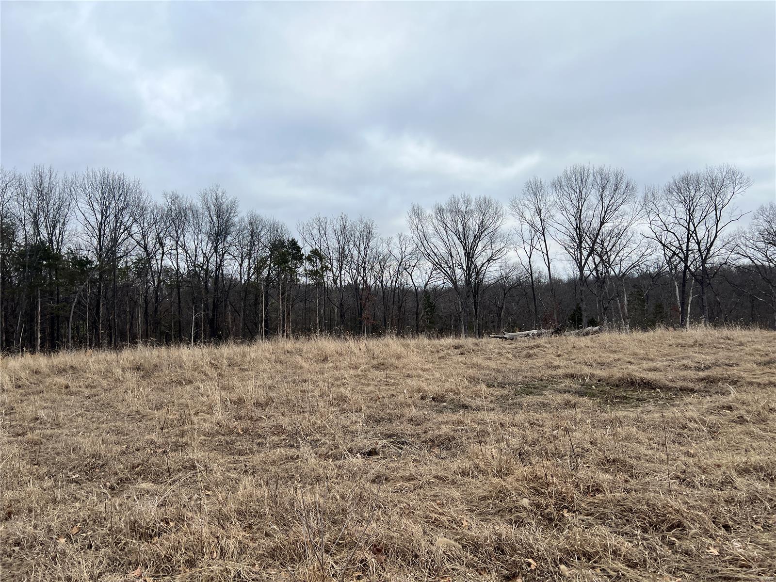 36 County Road 4055 Rhineland, MO 65069 - Photo 3 of 7