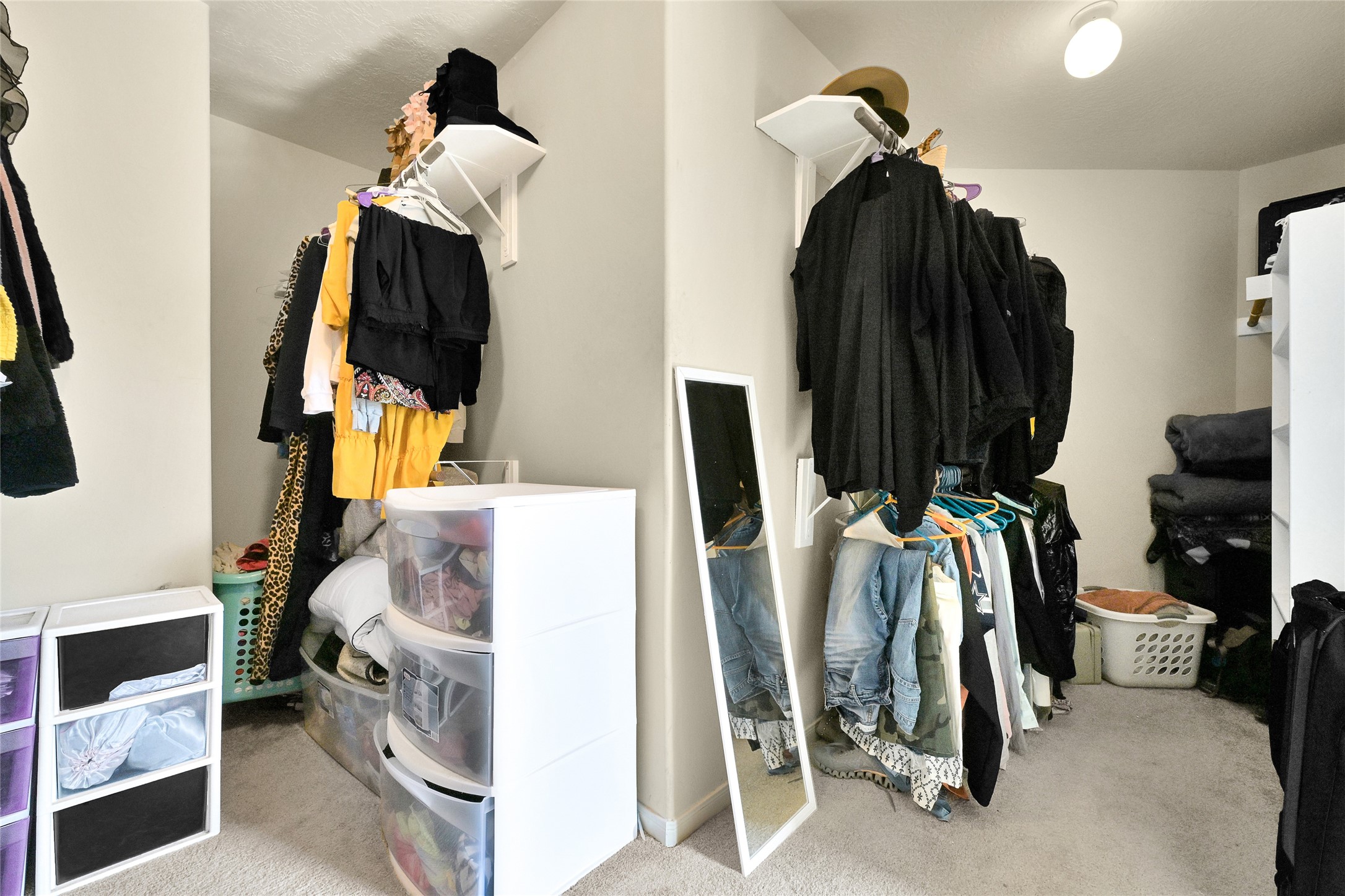 13408 Baron Hill Lane Rosharon, TX 77583 - Photo 21 of 23