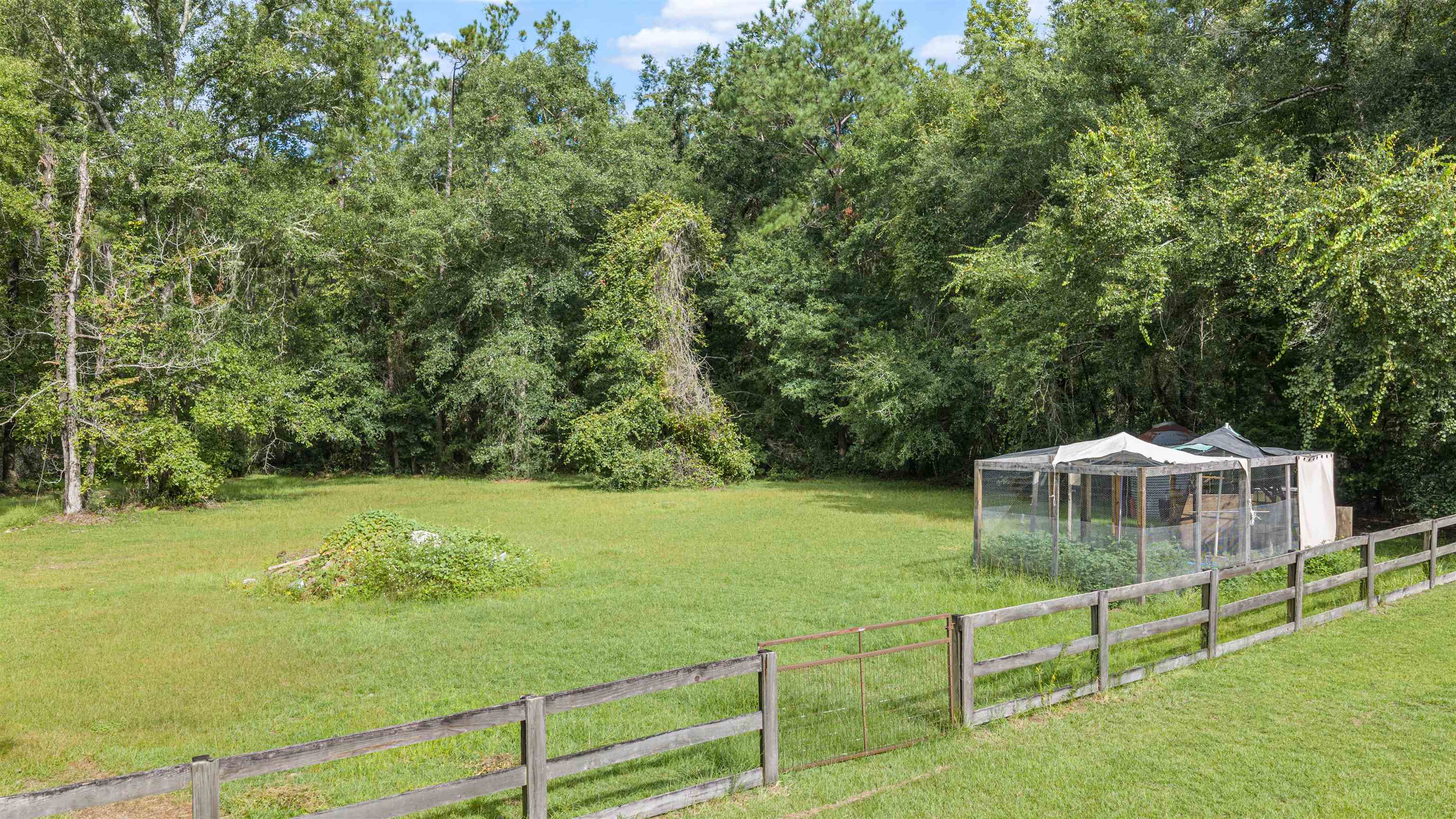 243 Turkey Run Road Crawfordville, FL 32327 - Photo 59 of 66 Gallery Image 59