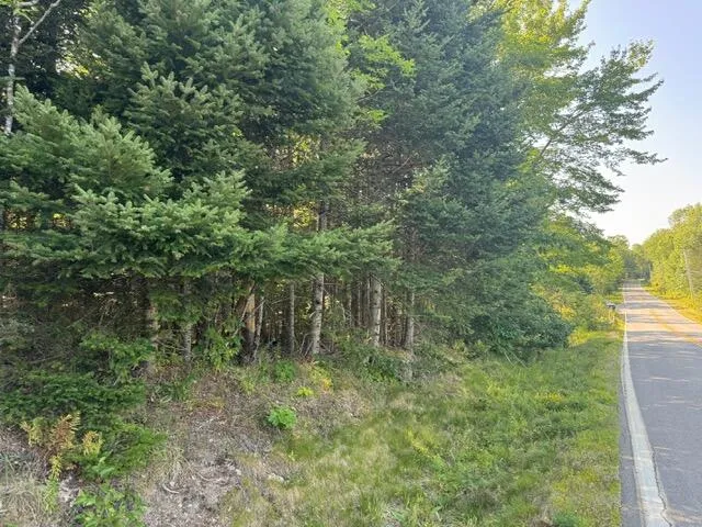 $99,000 | Map4-lot26 Southern Bay Road, Penobscot, ME 04476