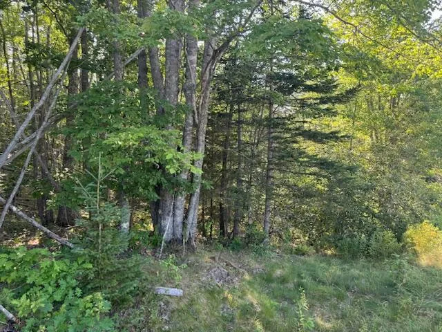 $99,000 | Map4-lot26 Southern Bay Road, Penobscot, ME 04476