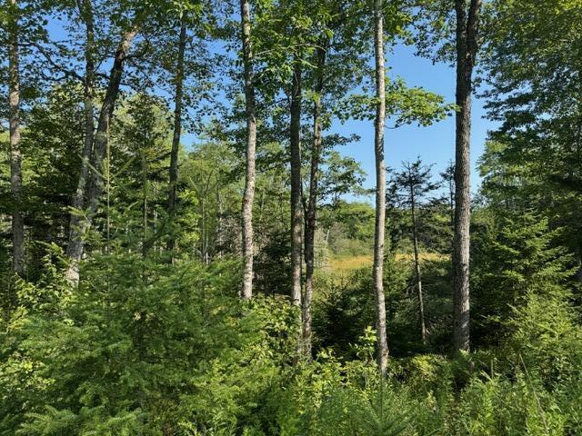 Map4-lot26 Southern Bay Road Penobscot, ME 04476 - Photo 4 of 7 IMG_4312